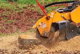 Best Pest Control for Lawns  in Sultan, WA